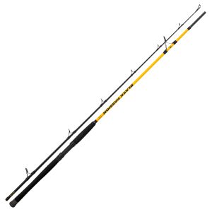 Black Cat Black Passion G2 Spin 2,40m 50-200g Wels-Spinnrute