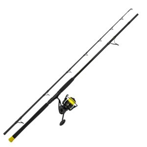 Black Cat Hard Core Allround Rod 2,70m bis 500g Allroundcombo