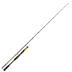 Black Cat Perfect Passion Allstar Cast 2,20m 30-130g Wels-Castingrute