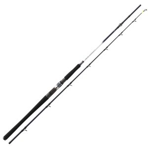 Daiwa Grandwave BC 2.25m 30-40lbs Heilbutt-Meeresrute