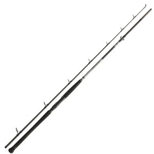 Daiwa Powermesh CF Boje 2,70m 150-400g Welsrute