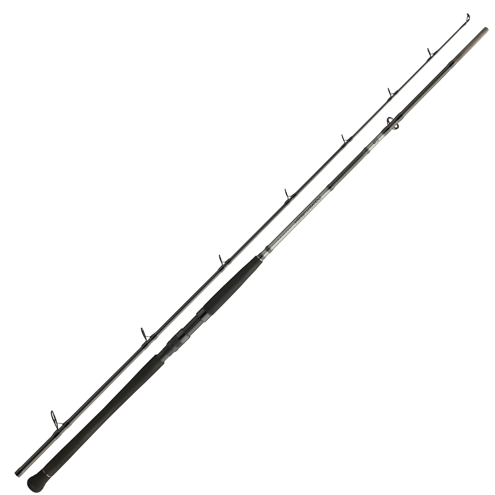 Daiwa Powermesh CF Boje 2,70m 150-400g Welsrute