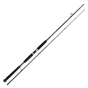 Shimano Beastmaster AX Pilk 2,40m 100-200g 2pc Pilkrute