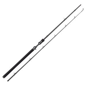 Westin W3 Jerkbait-T 1,98m H 20-80g 2Sec Baitcastrute
