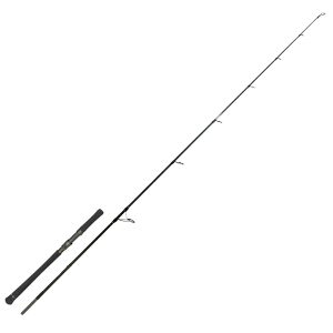 Zeck Evo Cat Spin 243cm 20-120g Welsrute Wallerrute